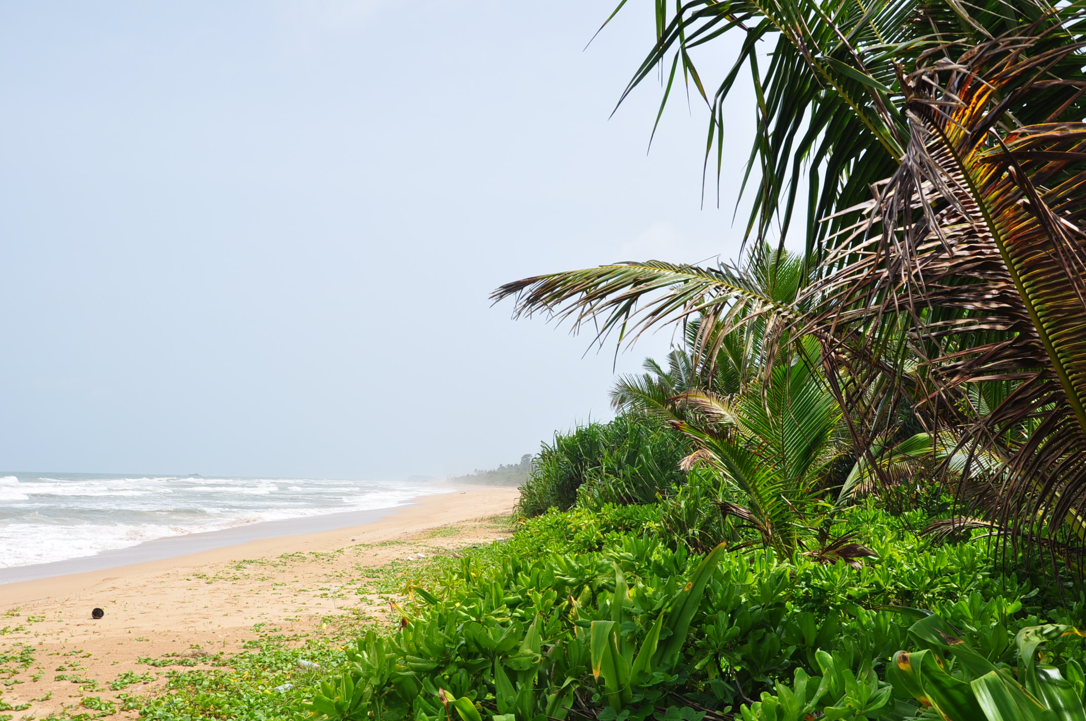 Bentota beach, Sri Lanka